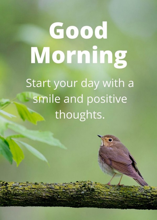 150 Unique Good Morning Quotes and Wishes My Happy 