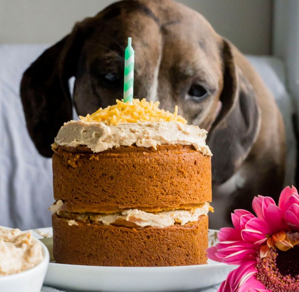 Birthday Cake For Dogs