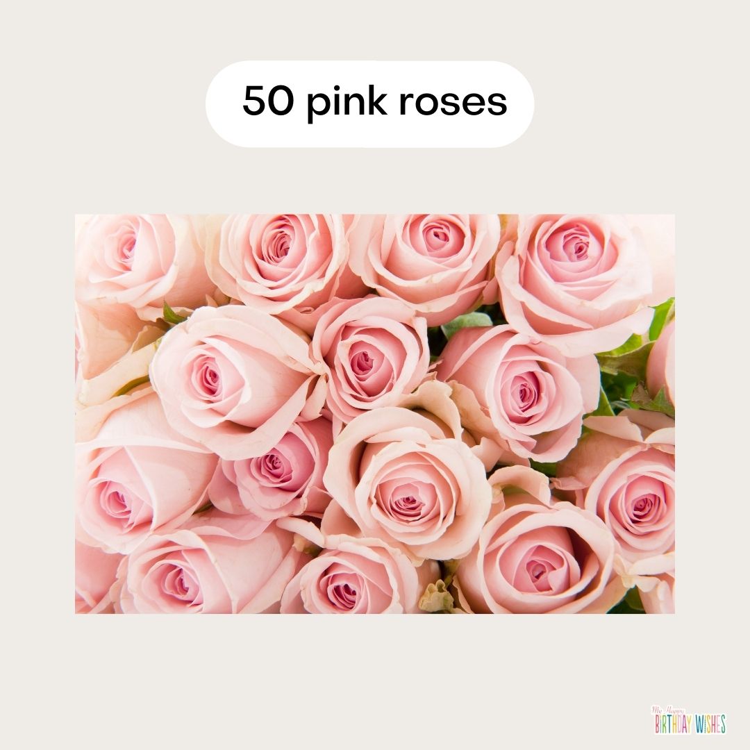pink roses as gift for 50th birthday