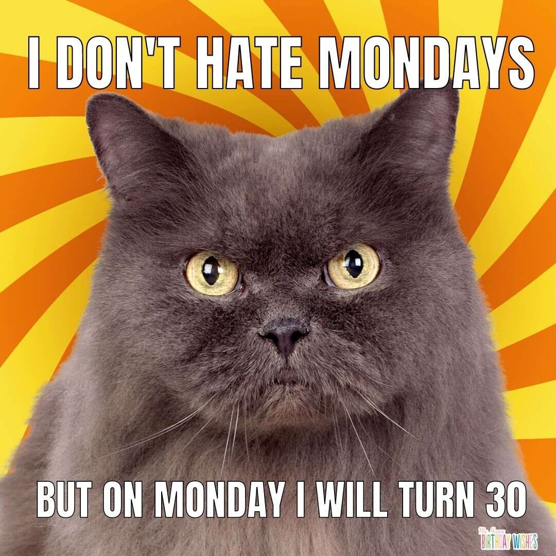 hating Monday birthday meme