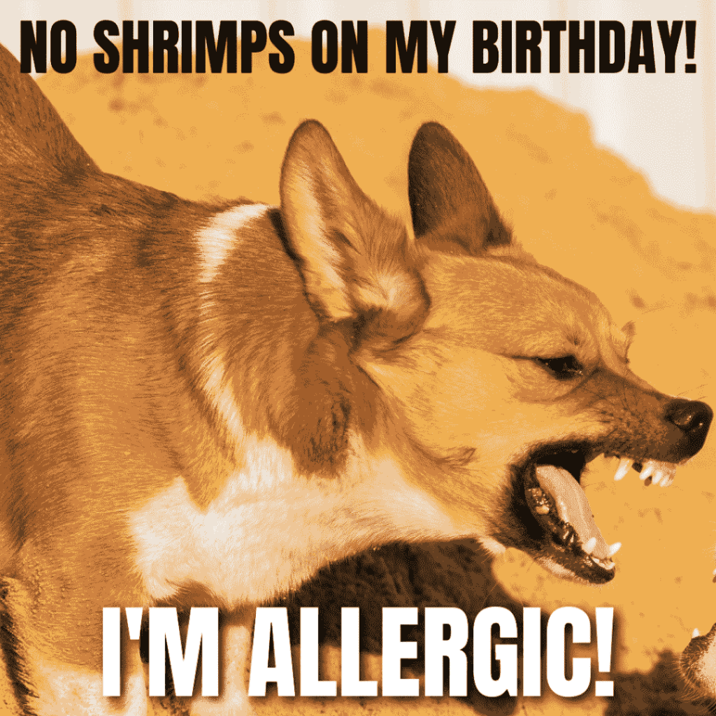 allergic to shrimps meme on birthday