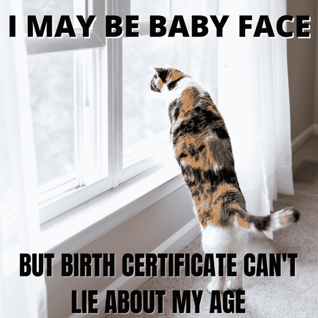 meme about being baby face but old of age