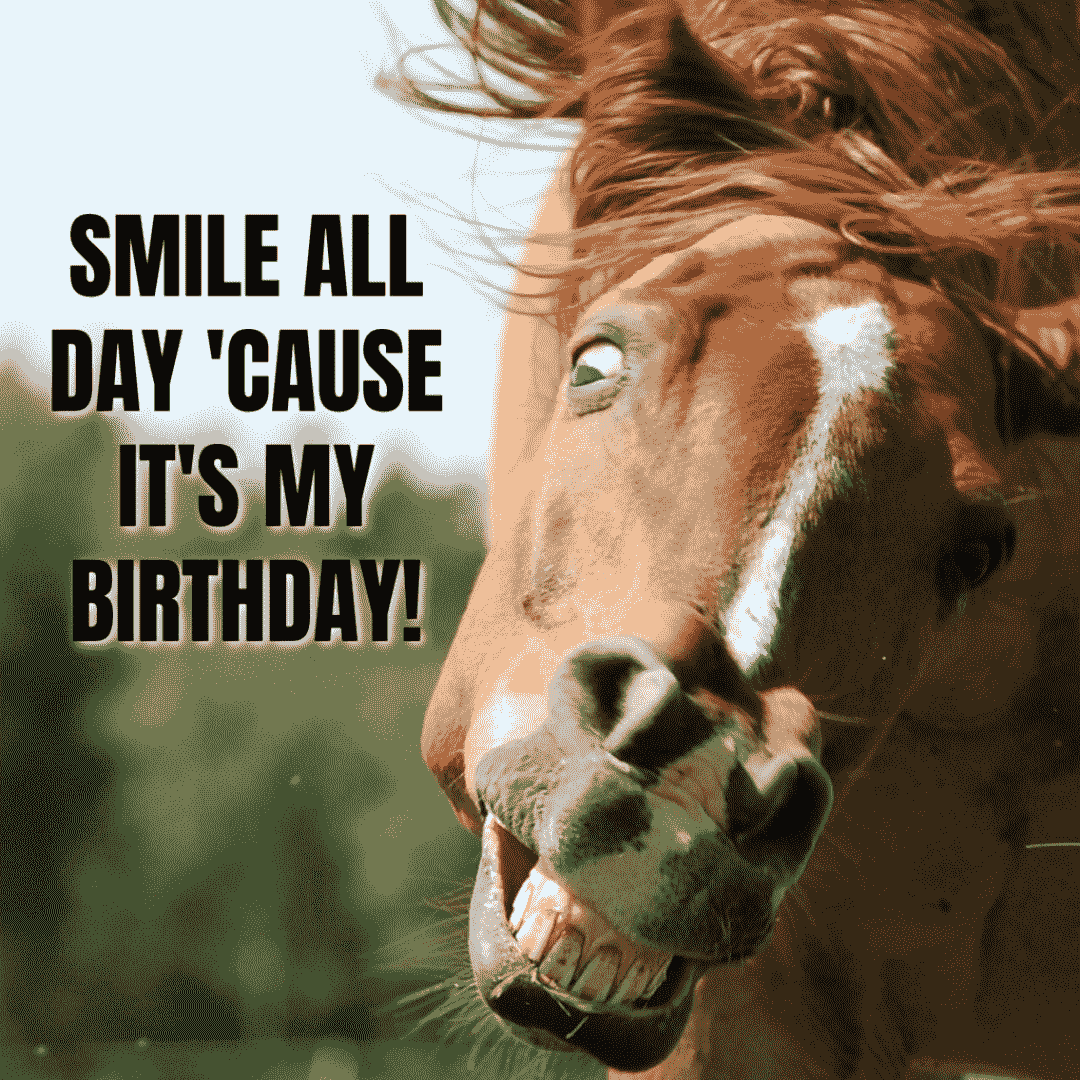 memes about gotta have to smile for birthday