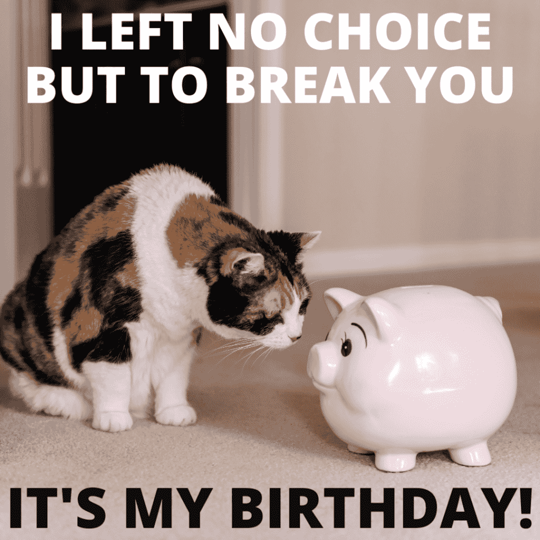 funny birthday meme about breaking your savings for your birthday