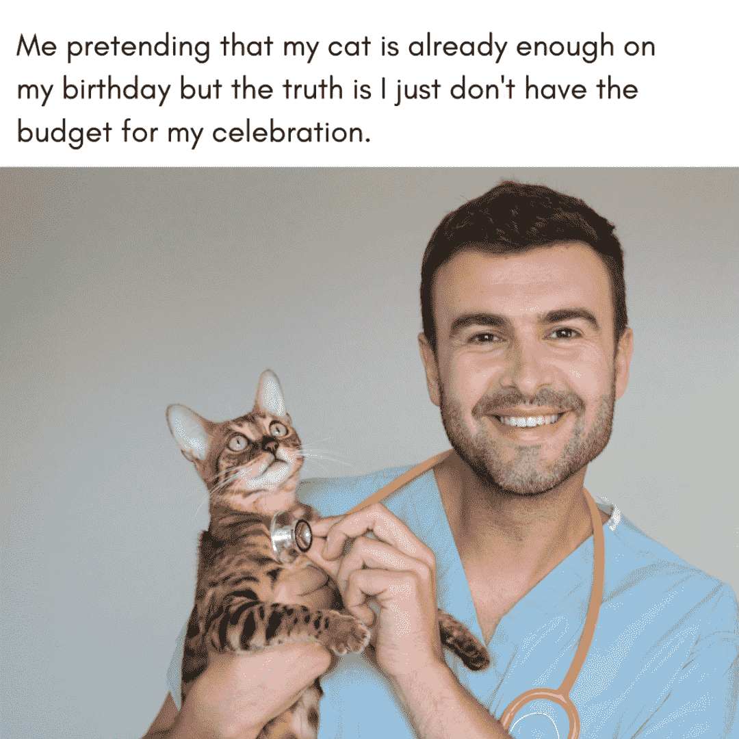 no budget for birthday celebration meme