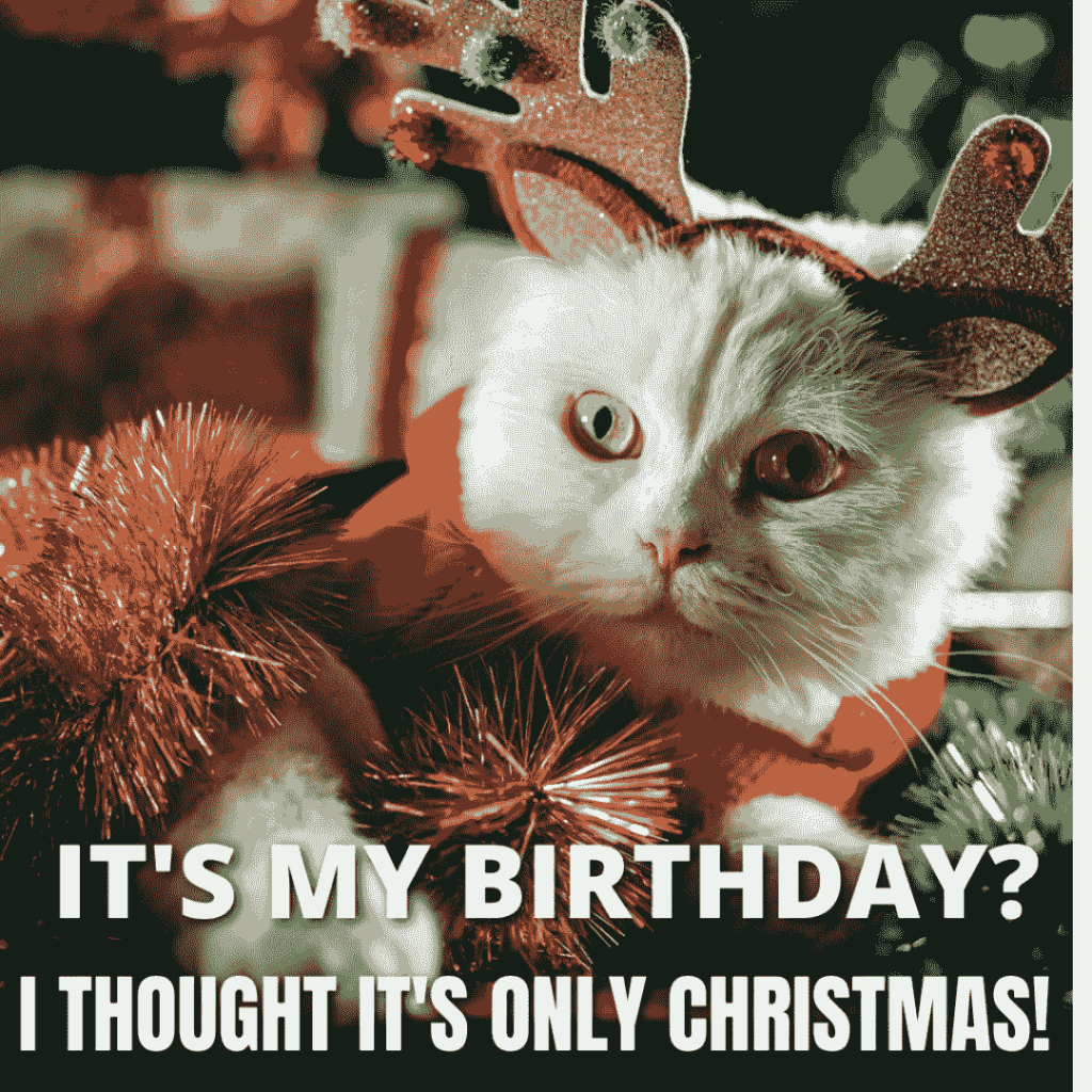 not realizing it's your birthday on christmas meme