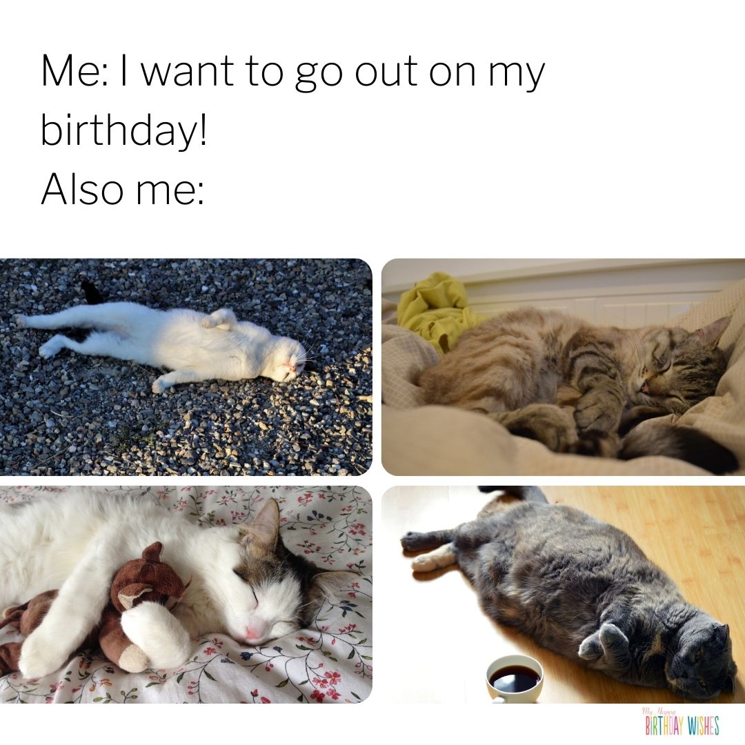 uninterested to do anything on birthday meme with cats sleeping