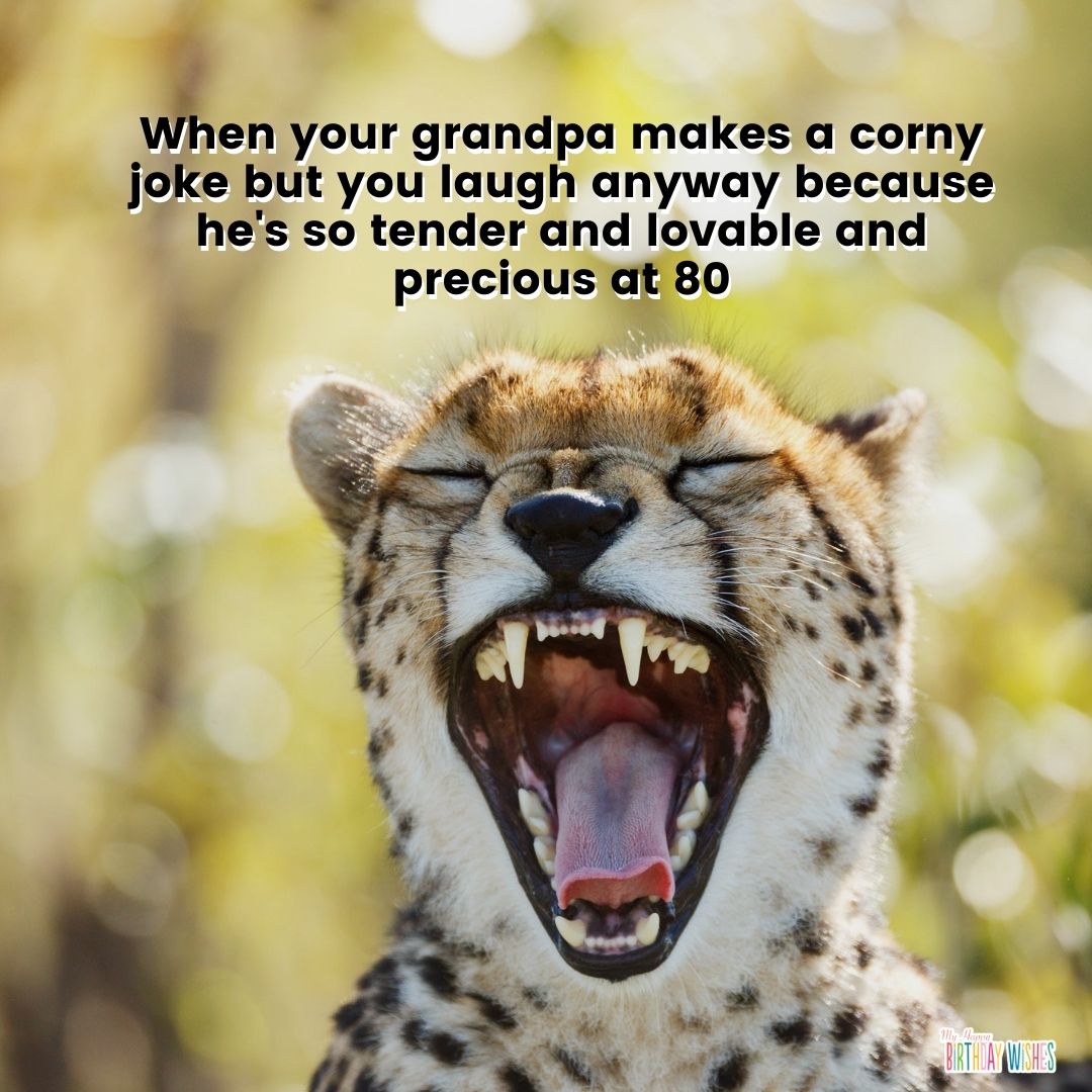 appreciation and cute birthday meme about grandpa with cute animal picture
