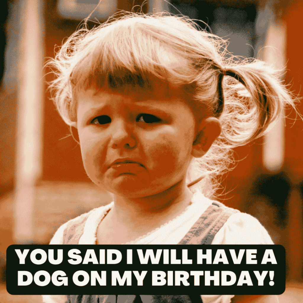 not receiving dog on birthday