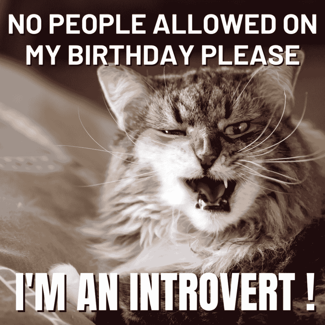 funny meme about being introvert on birthday