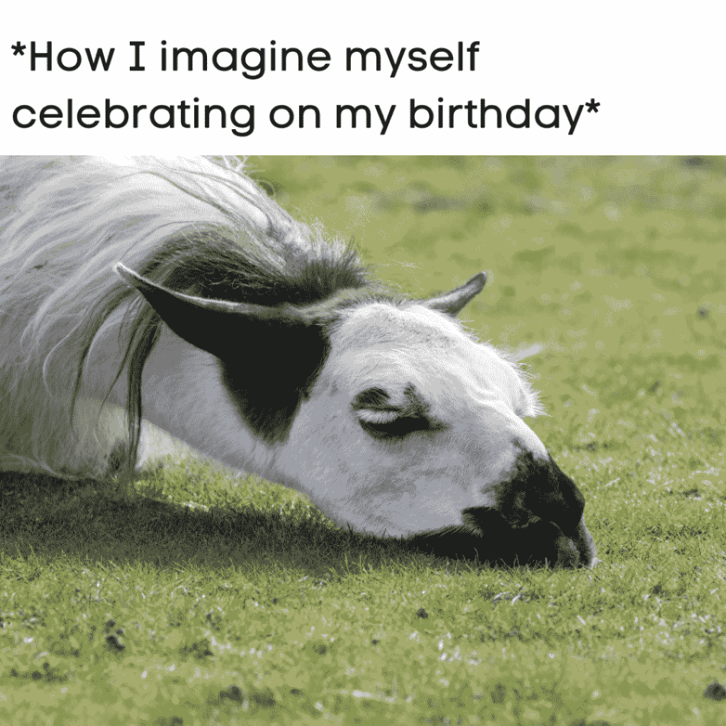 imagine of being lazy on birthday meme
