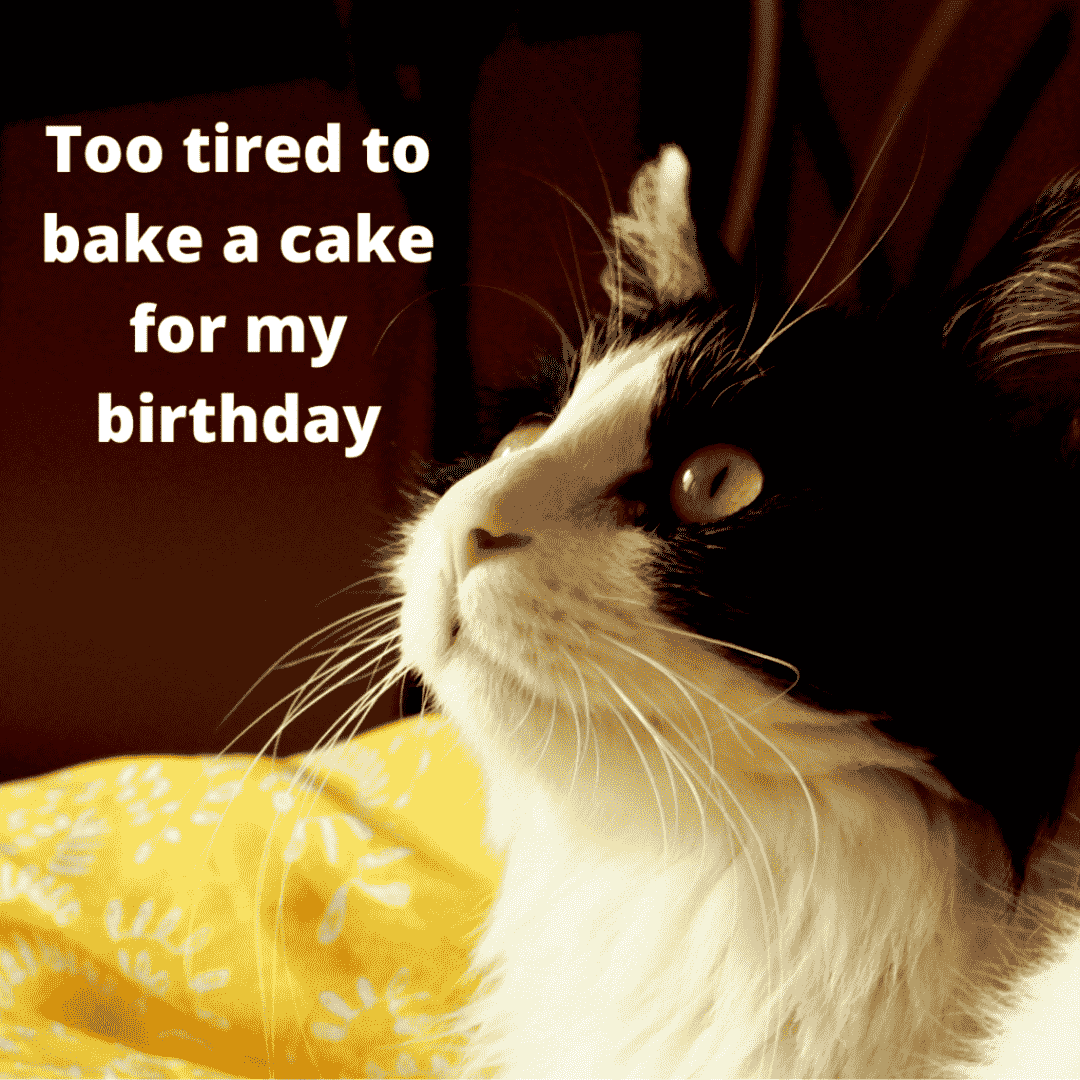 funny picture about too lazy to bake a cake on birthday
