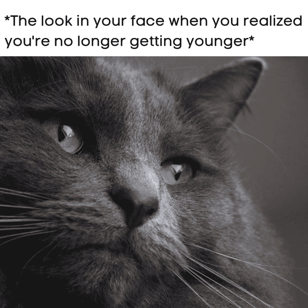 birthday meme about not getting any younger with cat picture