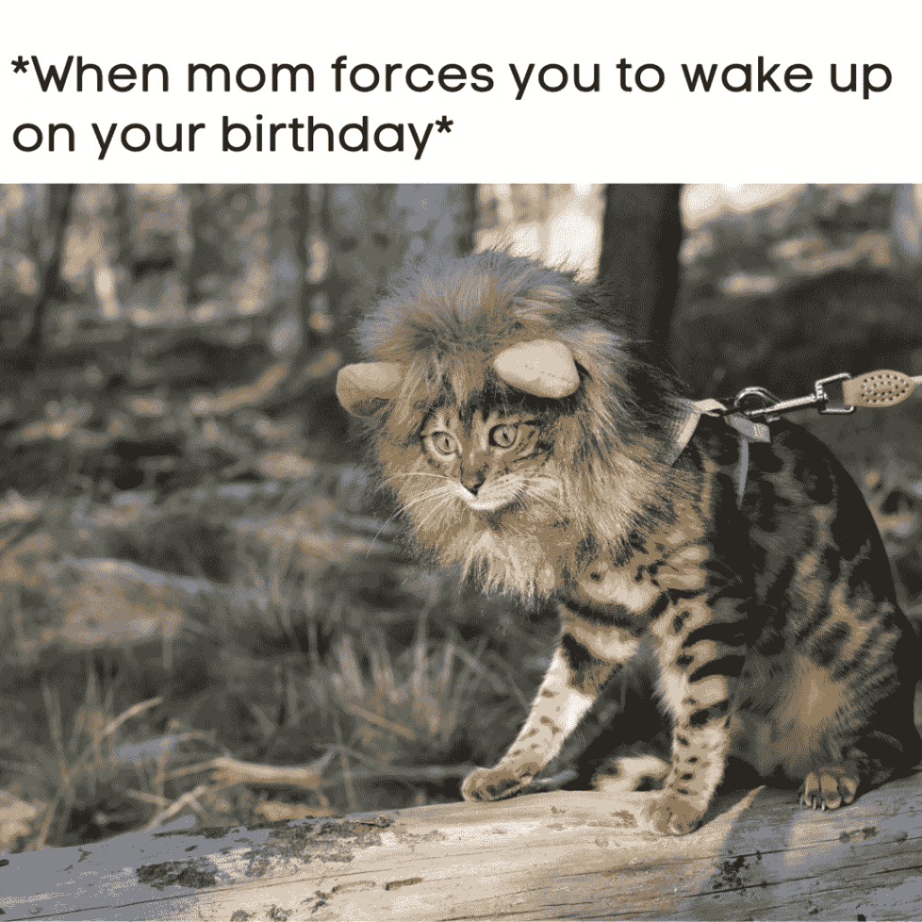 forcing to wake you up on birthday