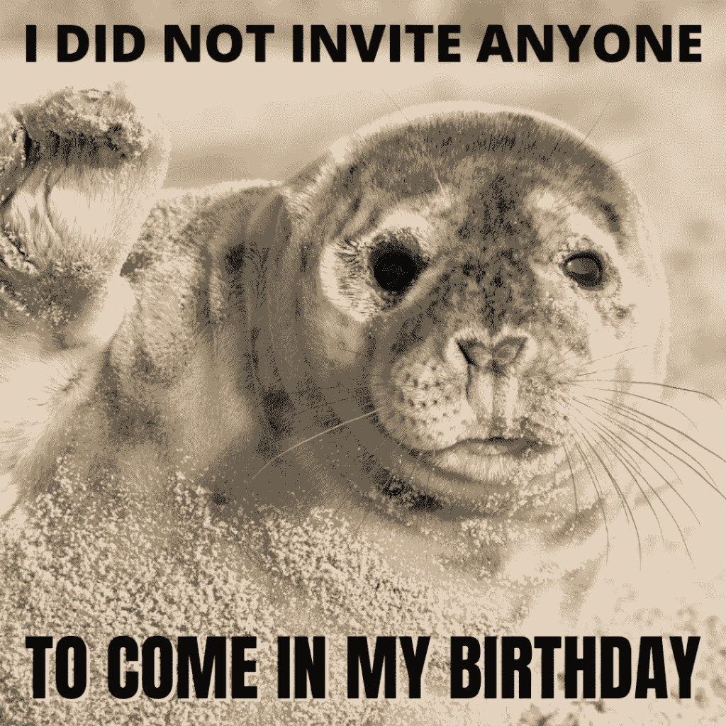 not invited to come on birthday meme