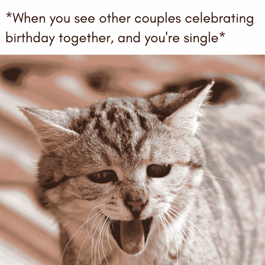 meme about being disgusted on couples celebrating birthday