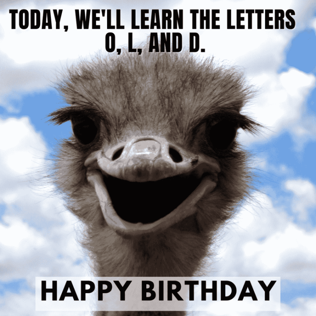 meme about birthday for a friend
