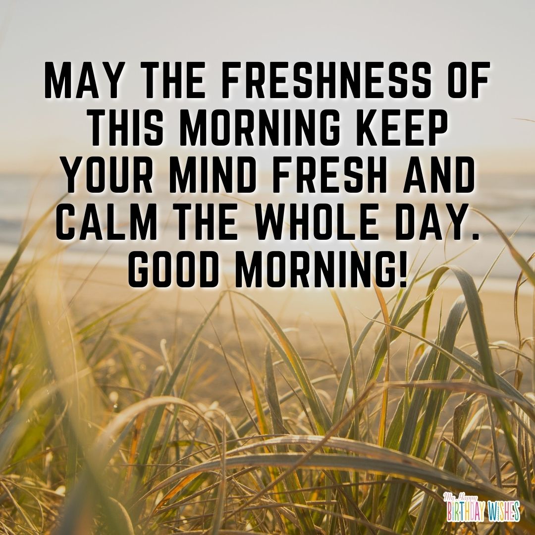 grass themed morning quote about keeping mind fresh