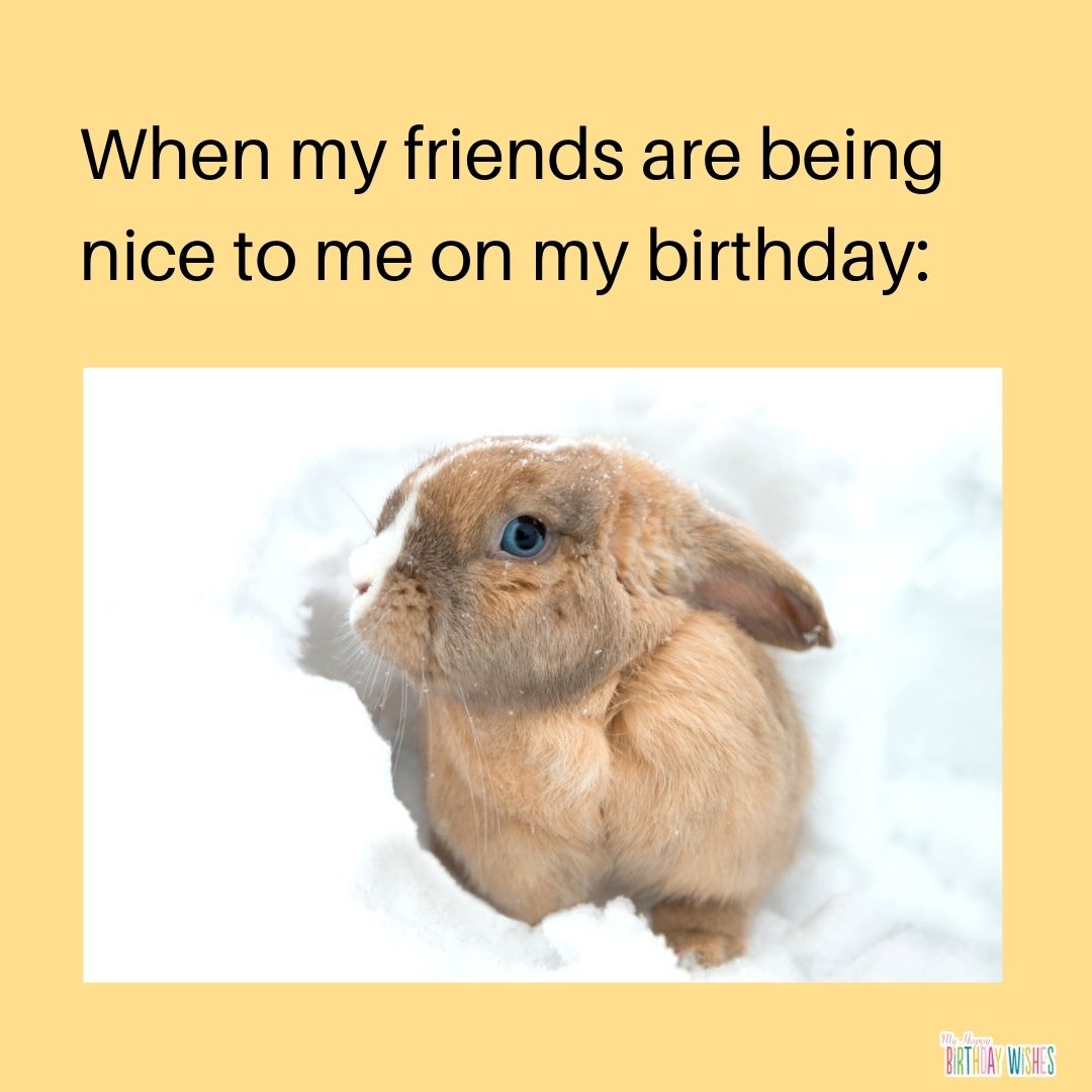 doubting on friends being nice to you on birthday meme