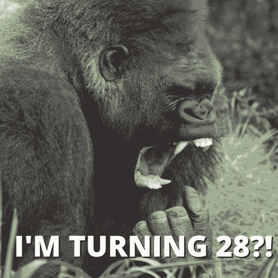 funny meme about turning 28 years old