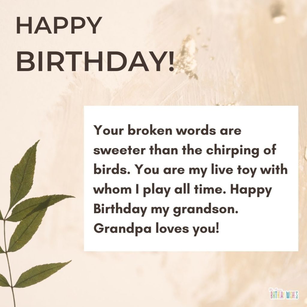 witty birthday greetings for grandson with simple design
