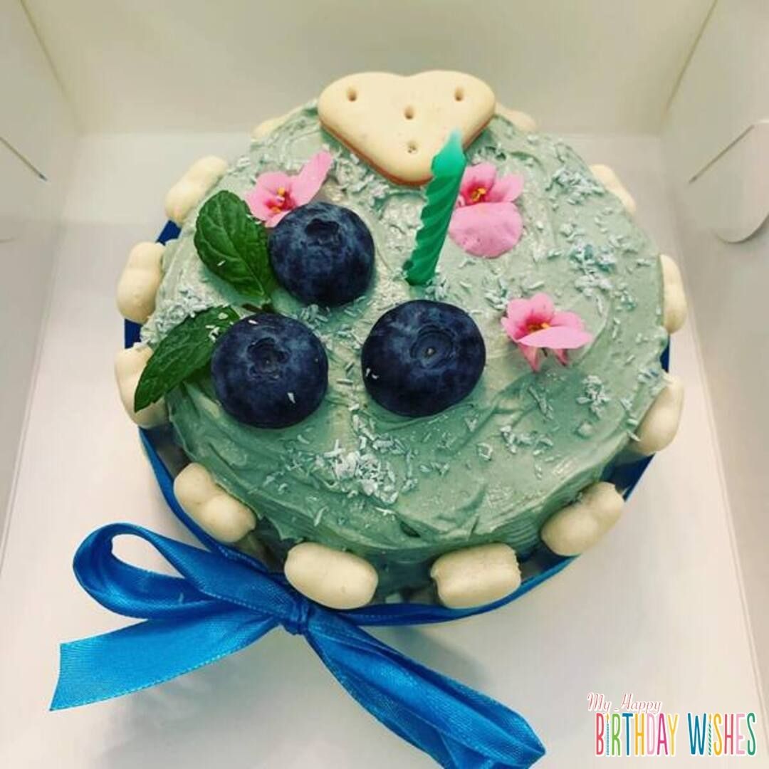 Blueberry Dog Cake - green dog cake with blue ribbons.