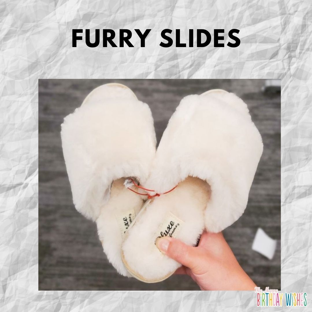 Furry Slides for inside house use. 