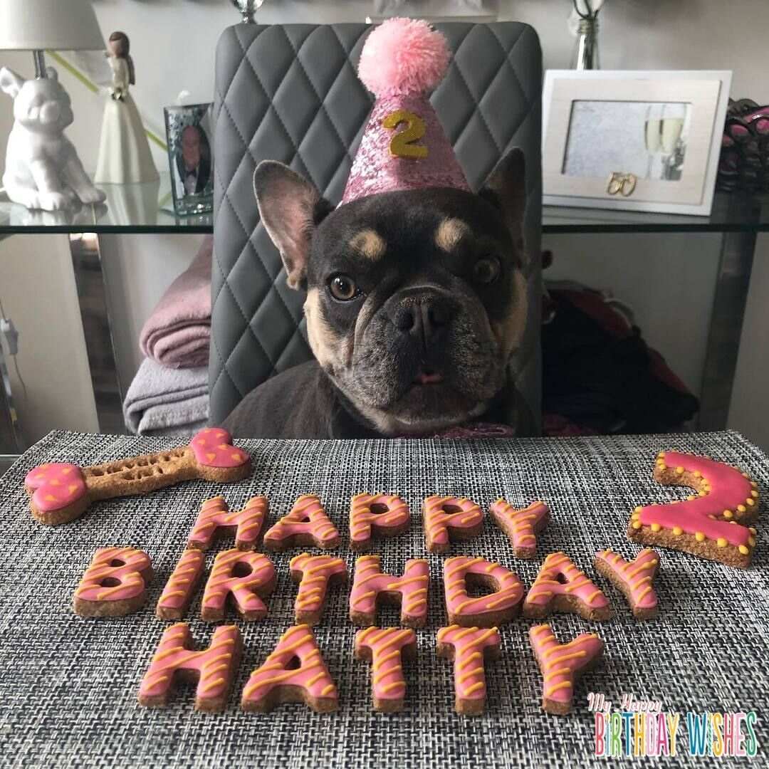 Happy Birthday Letter Cake - a dog cake in letters. 