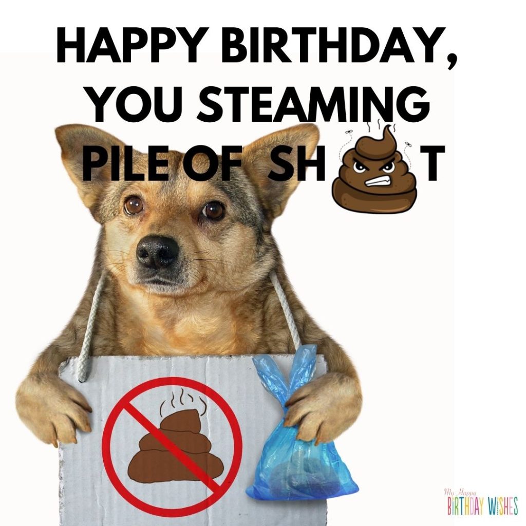 a dog wearing poof banner happy birthday memes