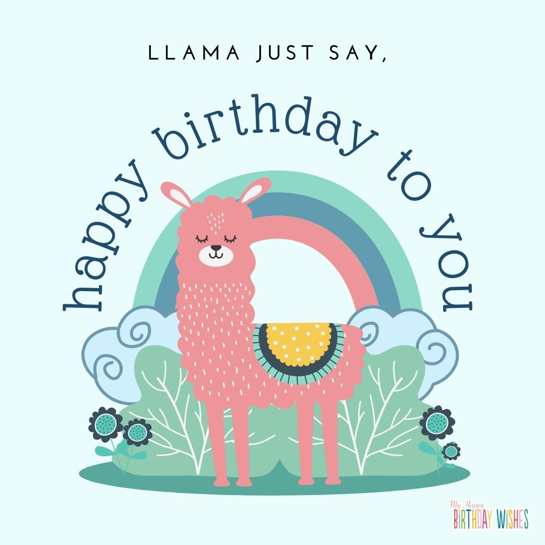 Cute llama