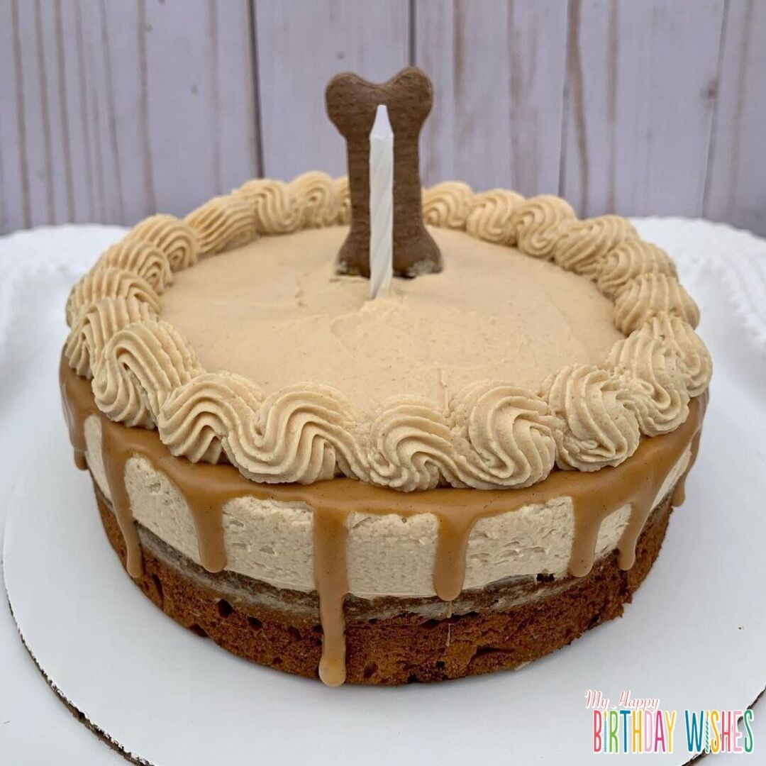 Peanut Butter Dog Cake - a simple dog cake in layers with candle and treat on top. 