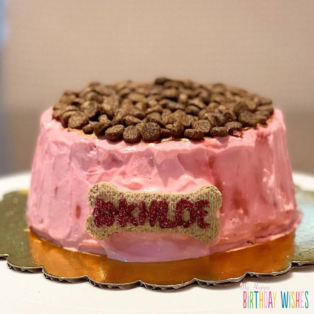 Plate Shape Cake - a dog cake in pink plate with dog food on top design. 
