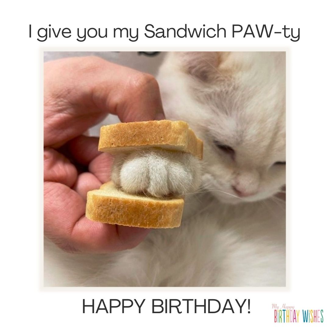 Sandwich Cat - one paw of cat sandwich in two small sliced bread.