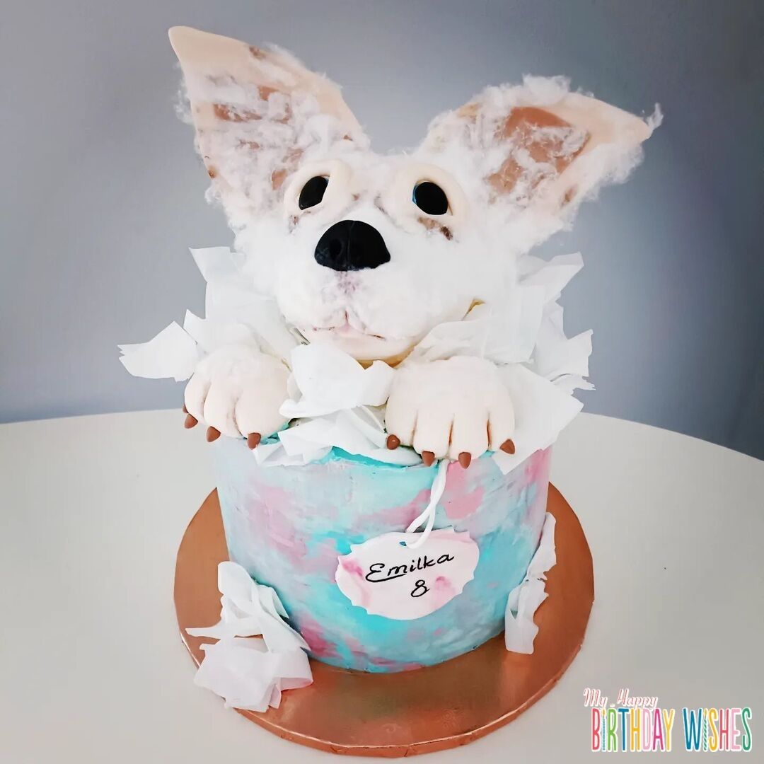 Shitzu Fondant Cake - a dog cake fondant in top with 3D furry. 