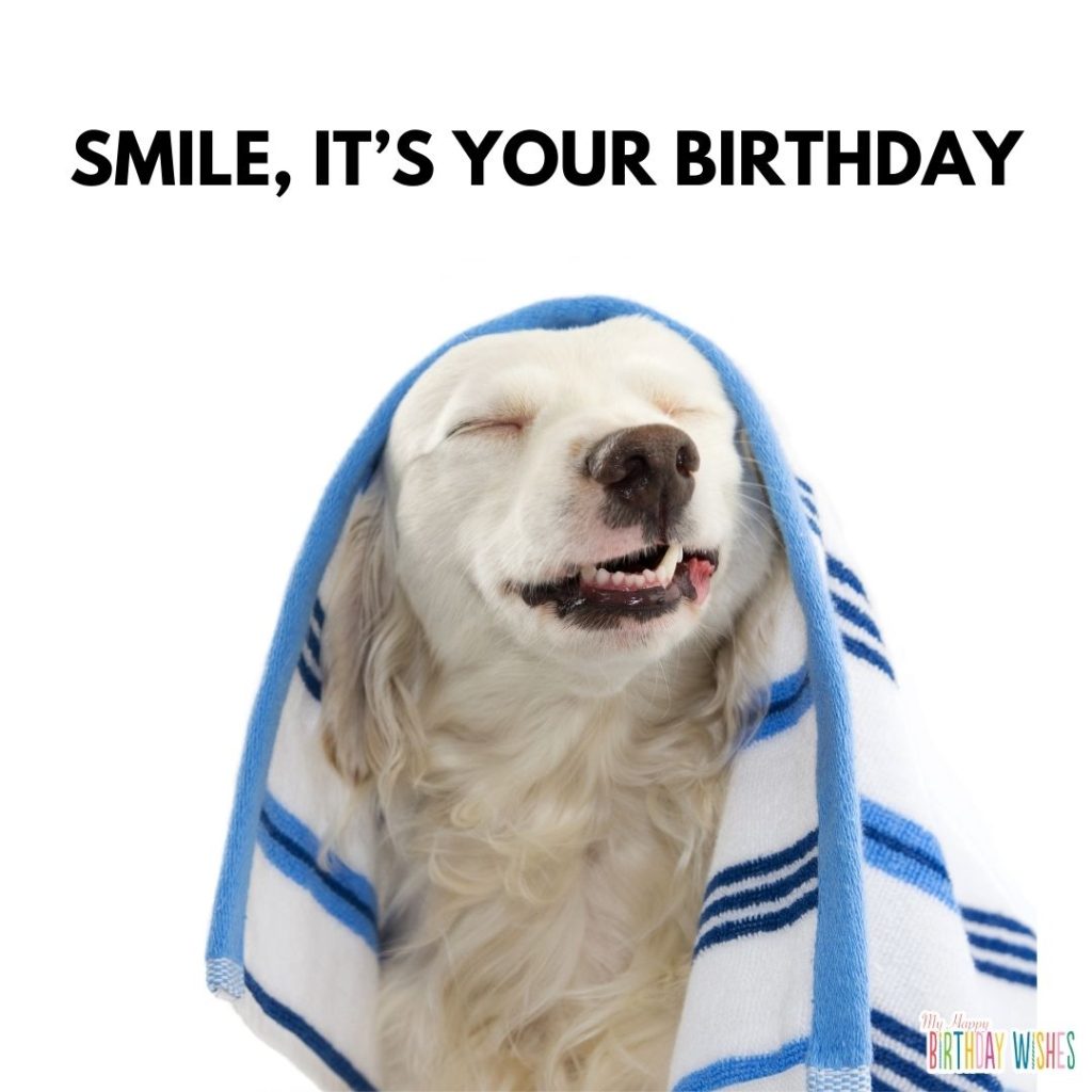 A smiling dog happy birthday memes