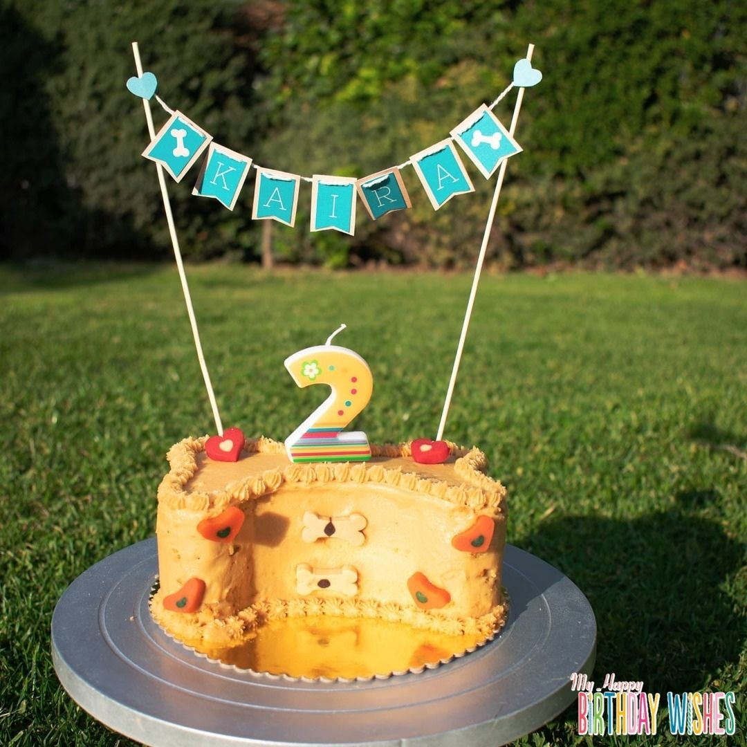 Thick Bone Treat Cake - a Dog cake with banner and number candle. 