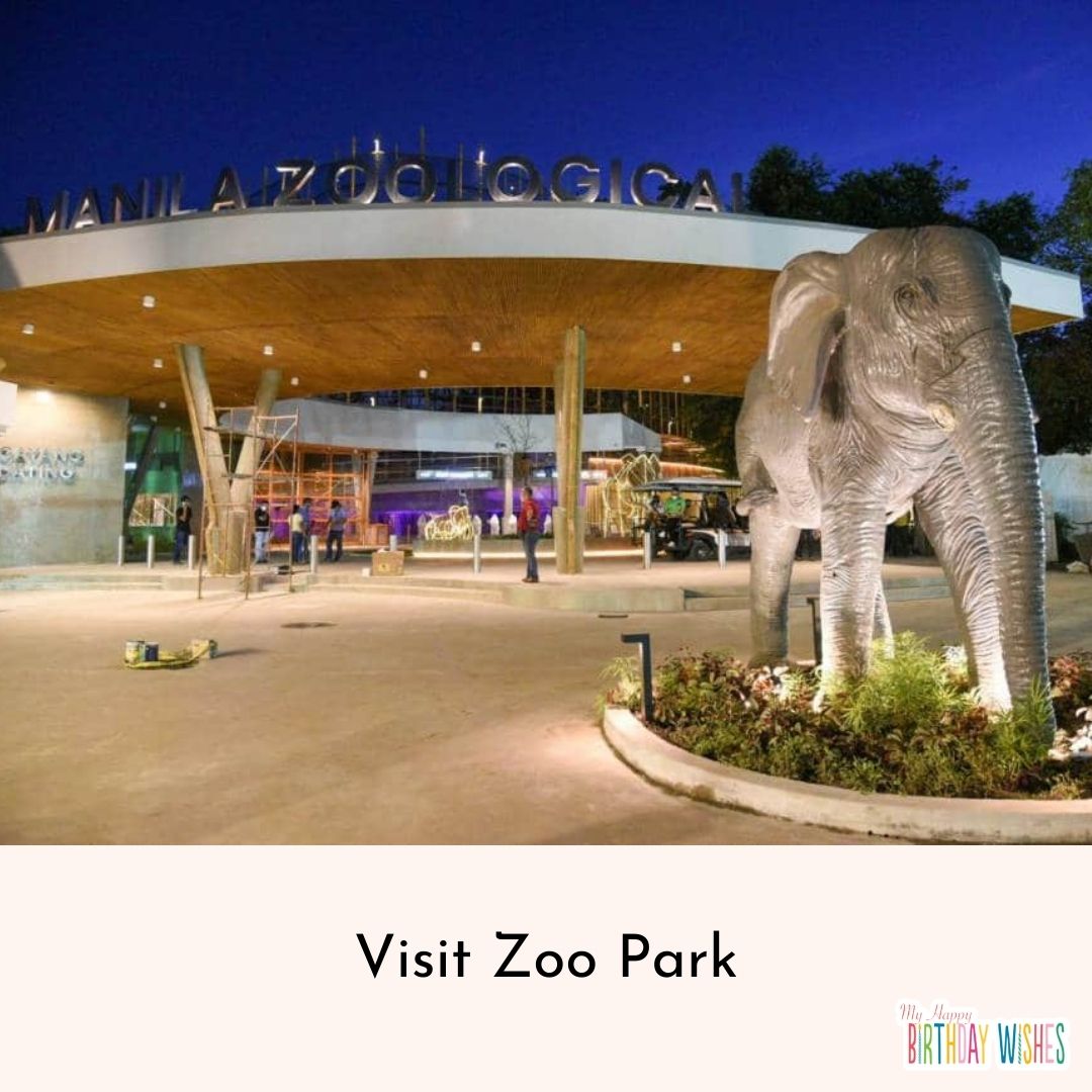 Enjoy your birthday in Visiting Zoo Park