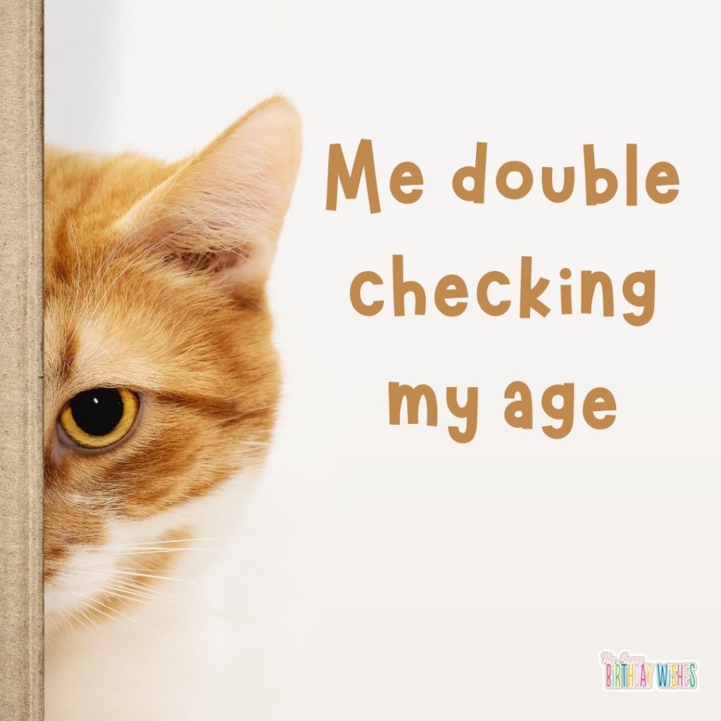 birthday meme about being sure of age with a cat image