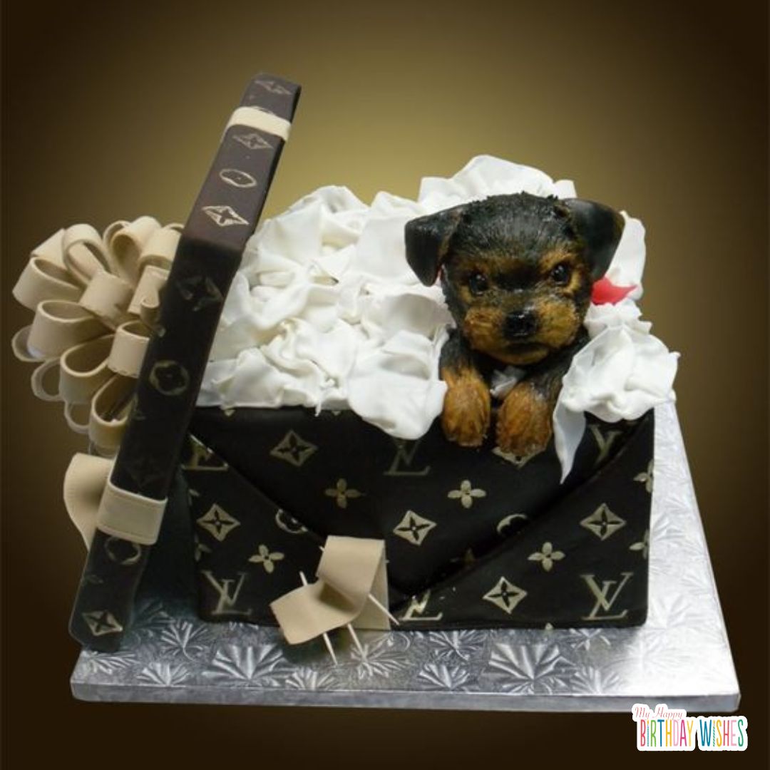 dog in a box of louis vuitton cake