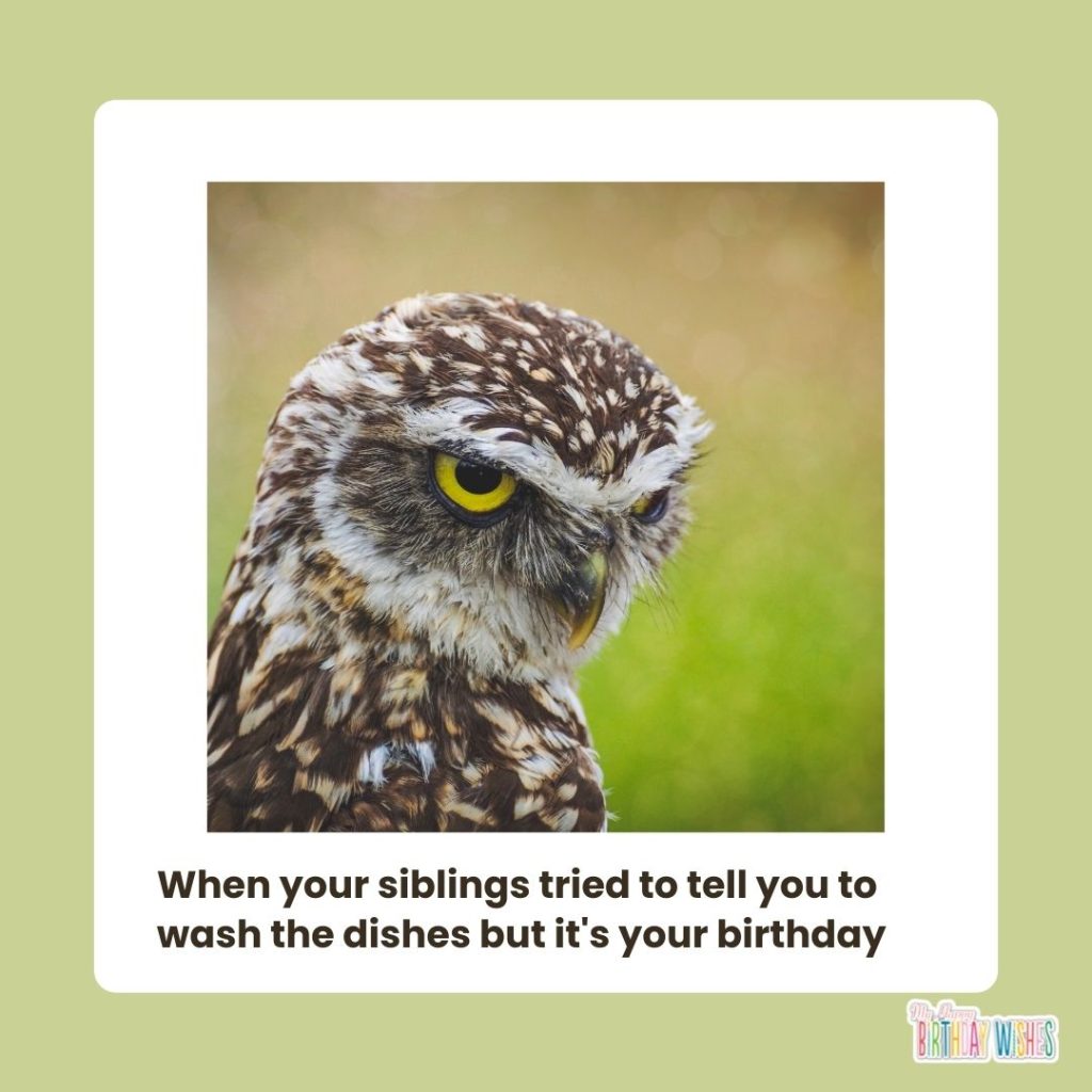 birthday meme about having the authority not to wash dishes on birthday