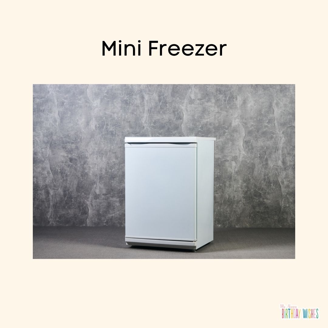 birthday gift for mom mini freezer