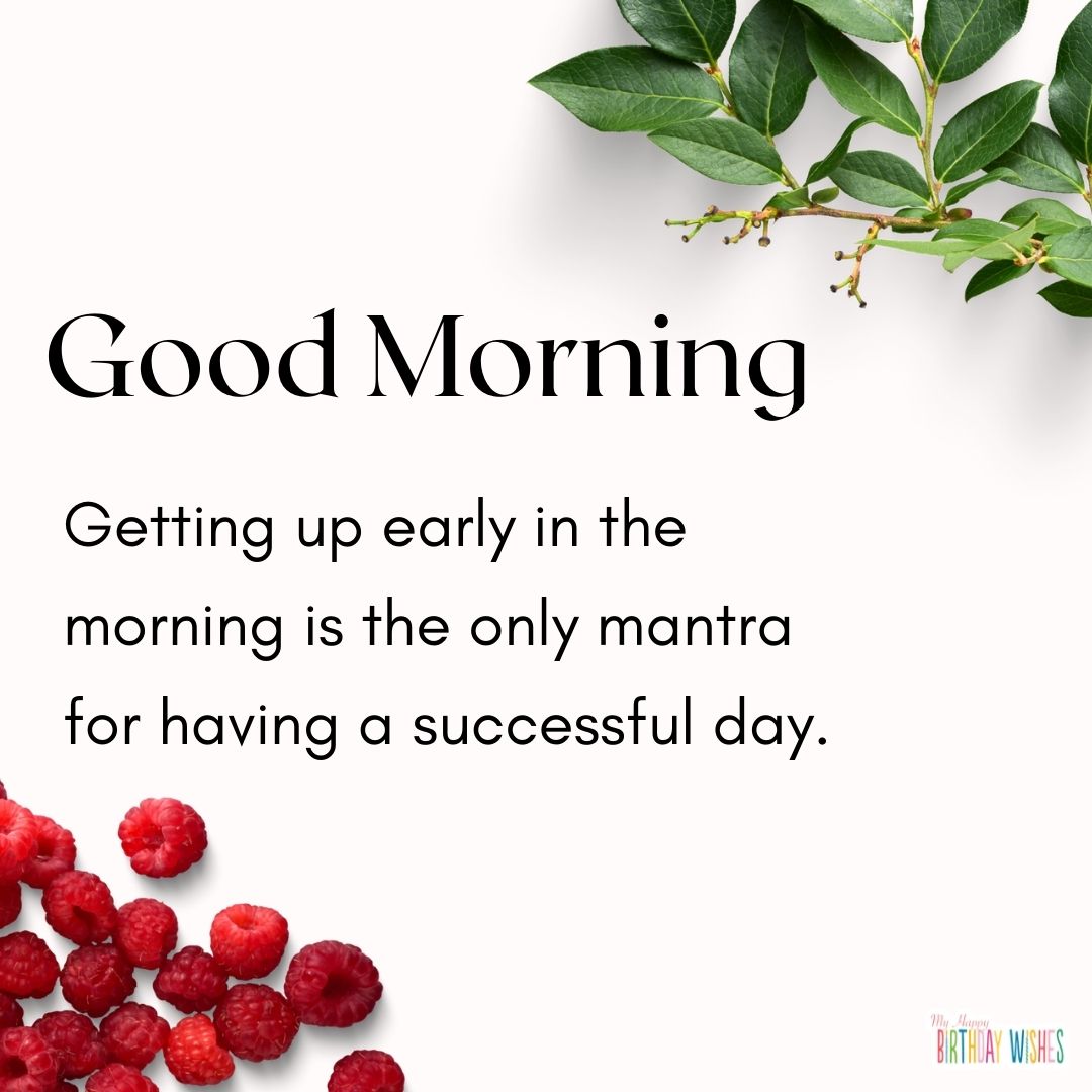 minimal and clean morning quote with leaves and fruits