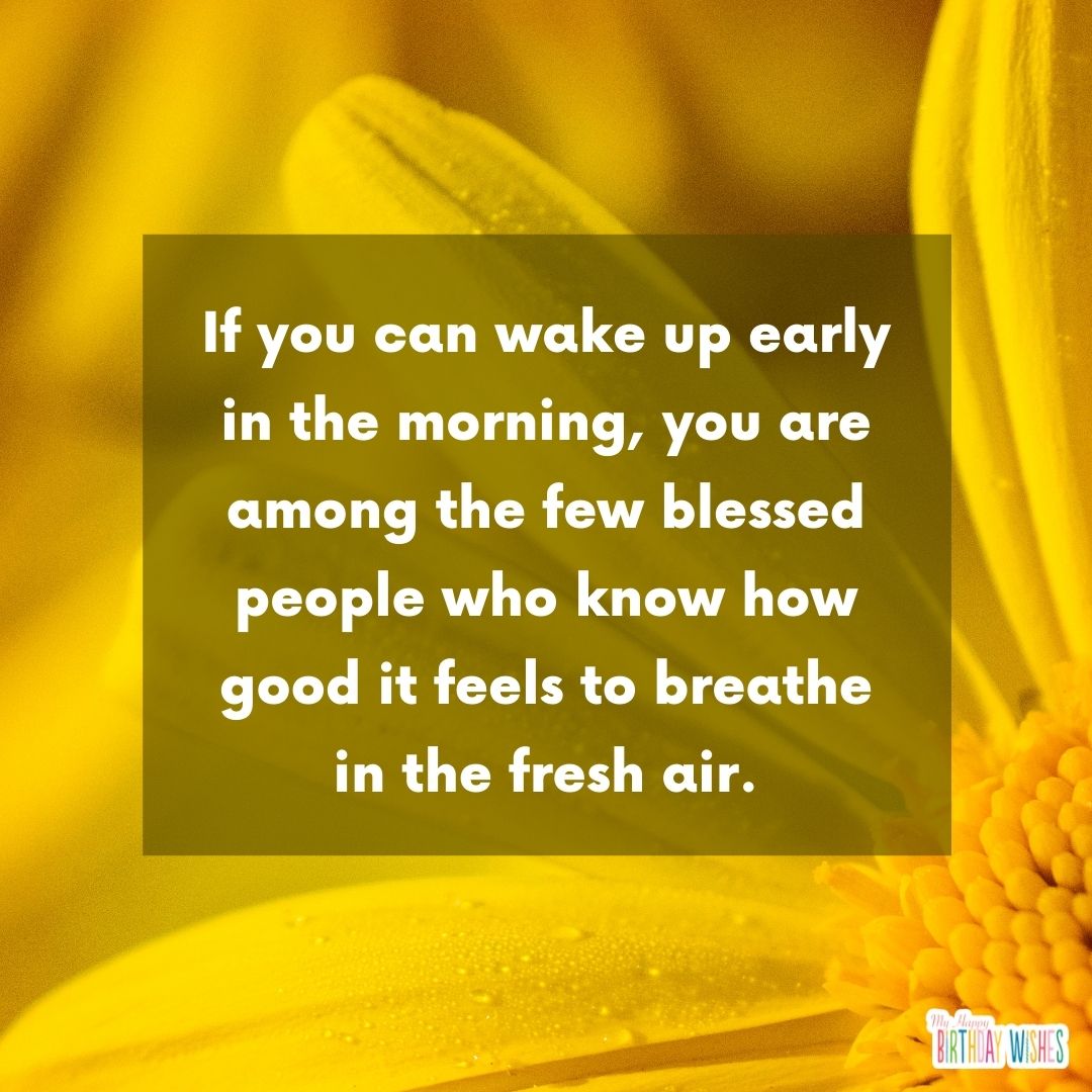 sun flower theme morning card quoteIf you can wake up early in the morning, you are among the few blessed people who know how good it feels to breathe in the fresh air.