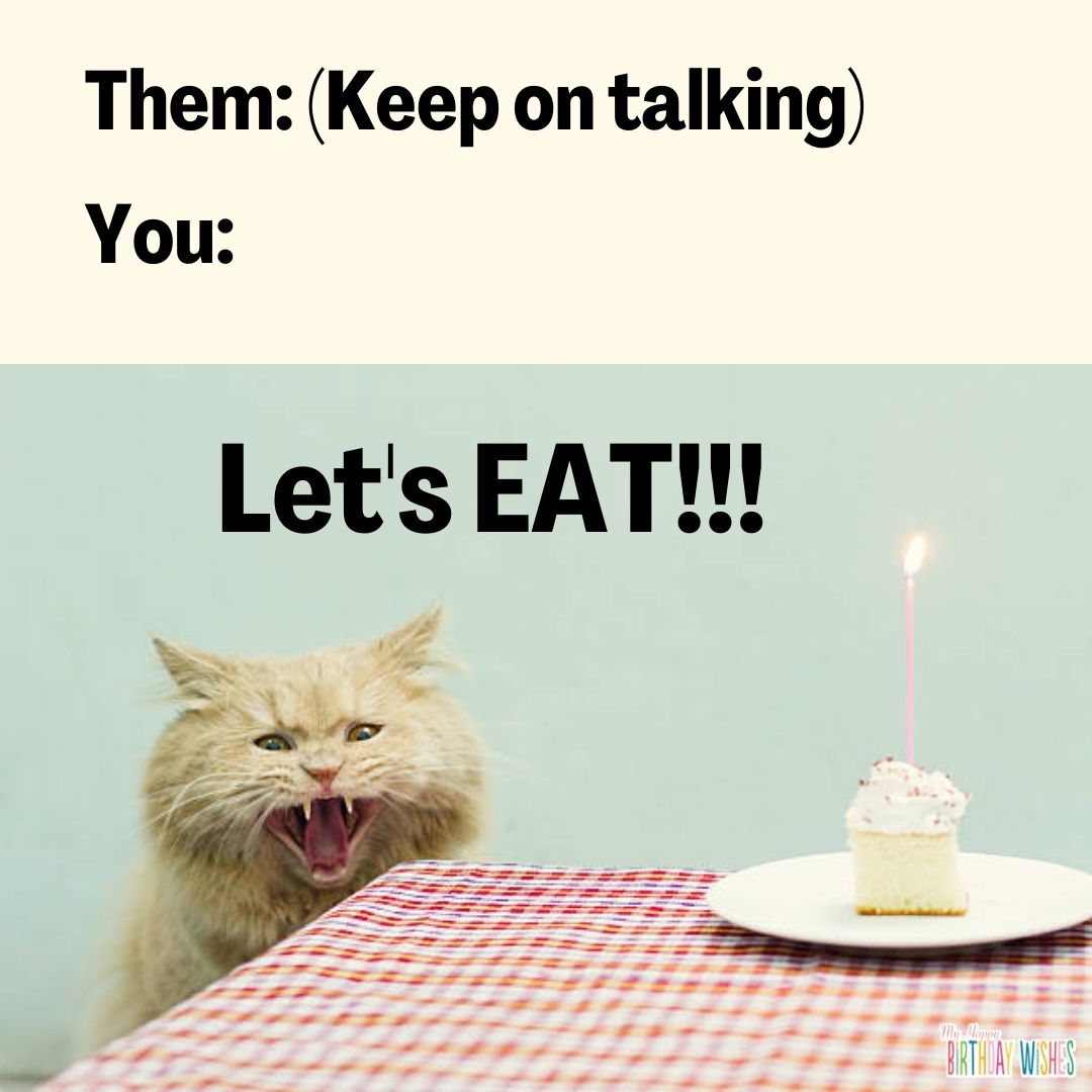 Angry cat - funny birthday pictures