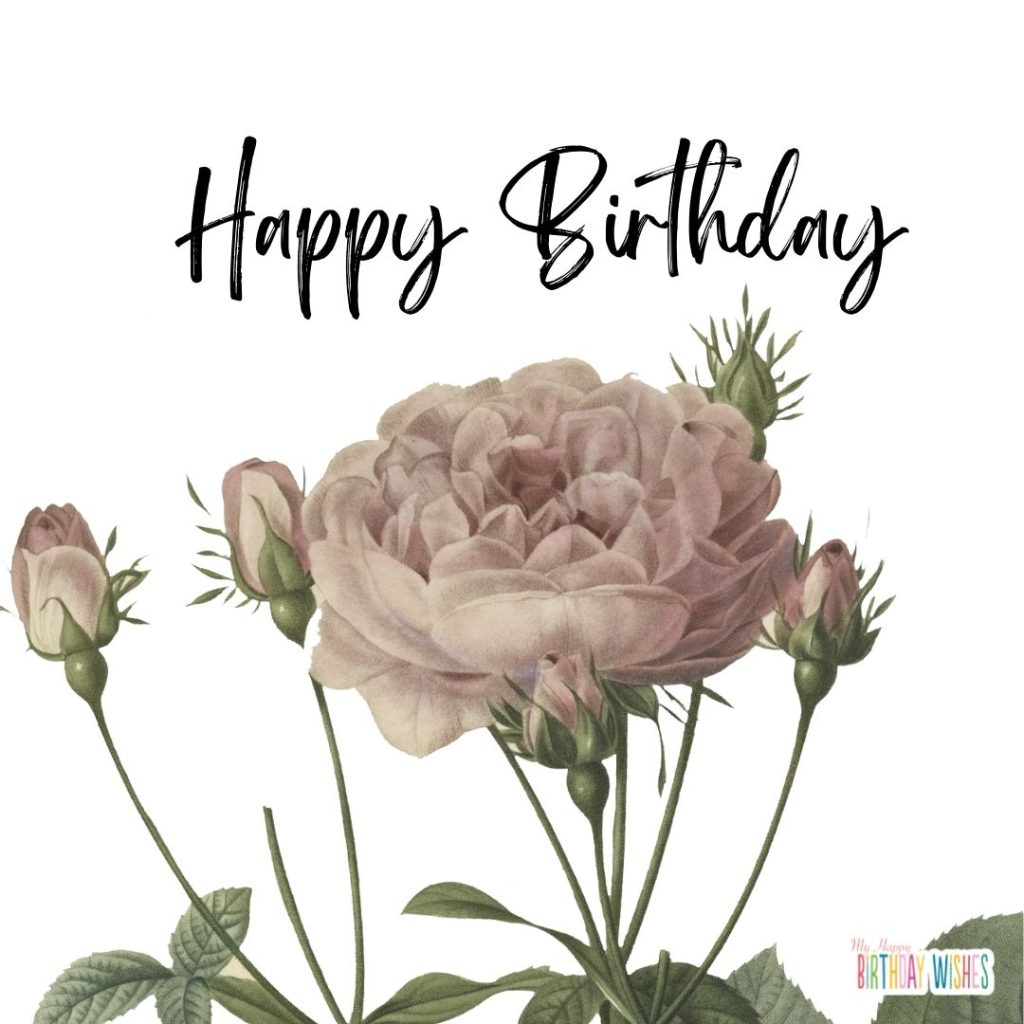 birthday card with white and realistic flower design