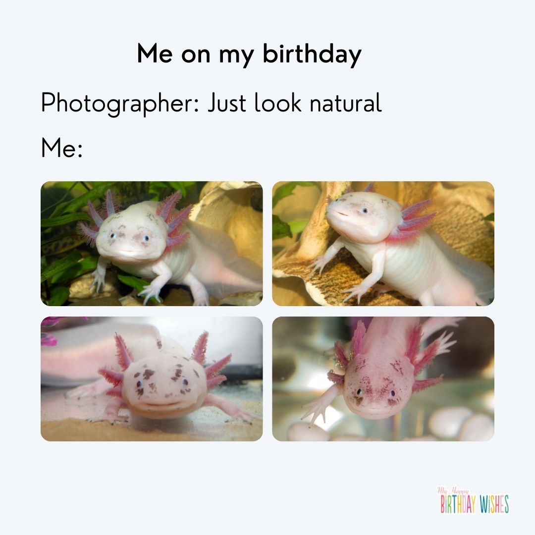 birthday meme about posting to look natural