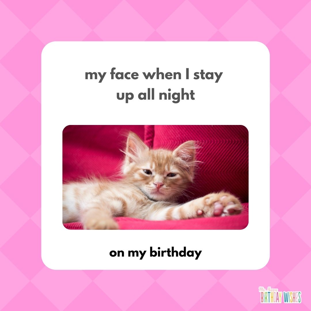 birthday meme minimal design with pink and cat