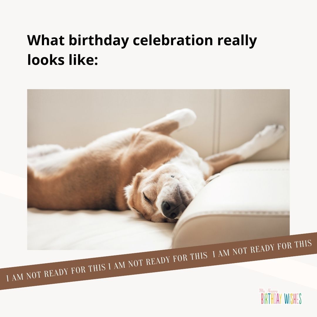 birthday meme about celebration with resting dog image