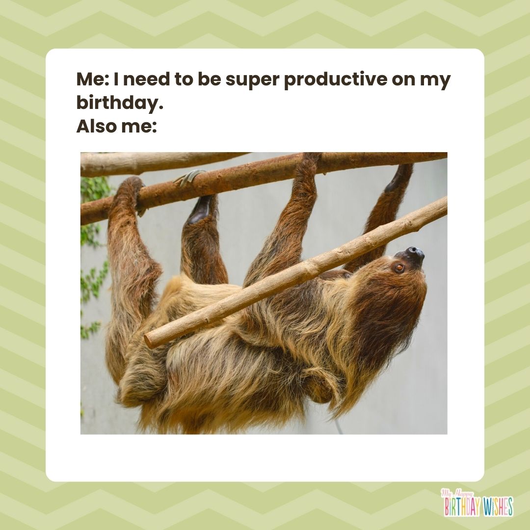 birthday meme about being productive with animal upside down