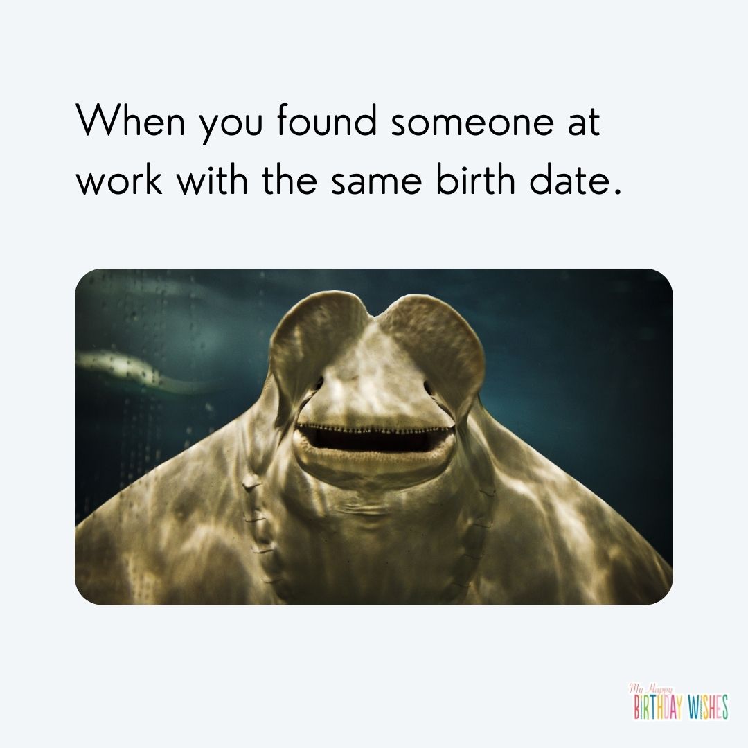 minimal design birthday meme with smiling sea creature